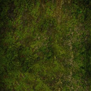 Tapis Undergrowth