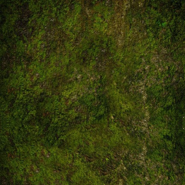 Tapis Undergrowth