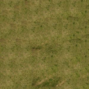 Tapis Universal Grass